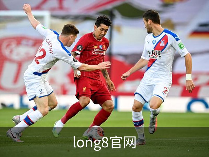 long8官网概况